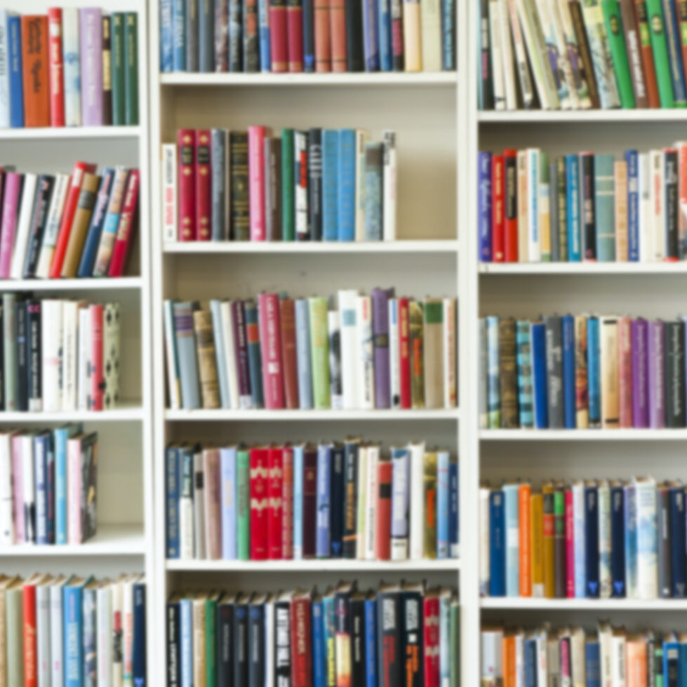 Ladybug Counseling Resources_Image of bookshelf